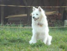 10 mesiacov